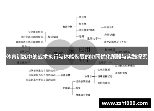 体育训练中的战术执行与体能恢复的协同优化策略与实践探索